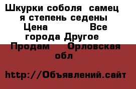 Шкурки соболя (самец) 1-я степень седены › Цена ­ 12 000 - Все города Другое » Продам   . Орловская обл.